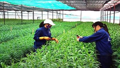 Hợp tác phát triển nông nghiệp với đối tác Hoa Kỳ