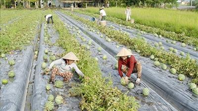 Tăng cường khả năng chống chịu của nông nghiệp với biến đổi khí hậu