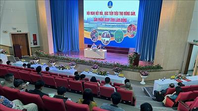 Xúc tiến thương mại nông sản an toàn, sản phẩm OCOP tỉnh Lâm Đồng