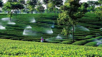 Công bố Chiến lược phát triển nông nghiệp nông thôn bền vững