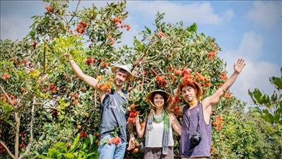 Phát triển du lịch nông nghiệp gắn với tiêu thụ nông sản địa phương