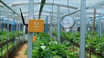 Nhiều ý tưởng đưa hạ tầng công nghệ 4.0 kết nối về nông thôn