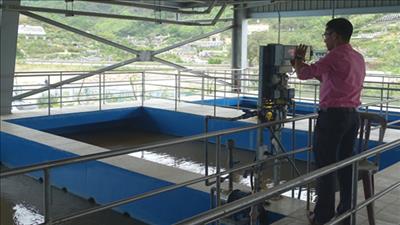 Đà Nẵng bảo vệ, quản lý và sử dụng bền vững nguồn nước