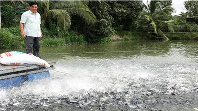 Cần Thơ ứng dụng nuôi trồng thủy sản đạt nhiều quy chuẩn chất lượng