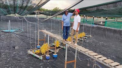 Phát triển thủy sản ứng dụng công nghệ cao, thích ứng biến đổi khí hậu