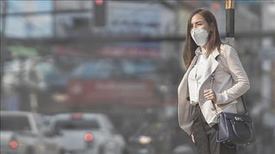Công bố mới về cơ chế gây ung thư từ ô nhiễm không khí