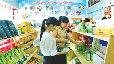 Hướng tới xây dựng nông thôn mới thông minh giai đoạn 2021 - 2025