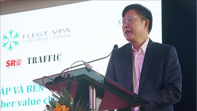Đảm bảo chuỗi giá trị gỗ hợp pháp và bền vững tại Việt Nam