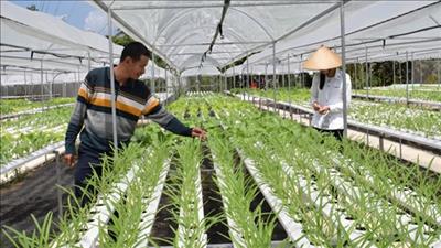 Xây dựng thị trường tín chỉ carbon để phát triển nền kinh tế tuần hoàn, bền vững