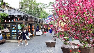 Hà Nội tổ chức Phố sách xuân Quý Mão 2023