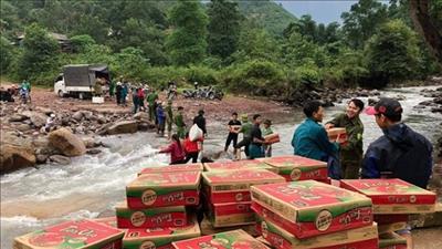 Bản tin môi trường số 23/2023