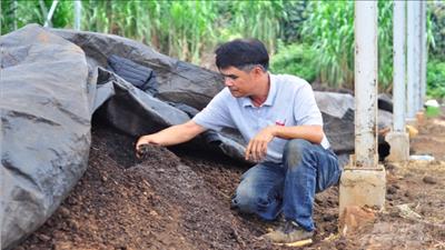 Lâm Đồng tích cực phát triển kinh tế nông nghiệp tuần hoàn