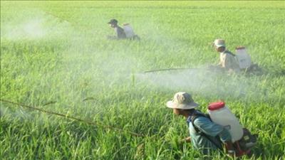 Giảm thiểu tác động của thuốc bảo vệ thực vật lên môi trường, sức khỏe cộng đồng