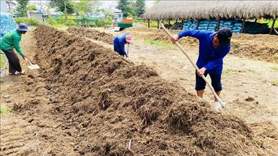Quản lý rơm rạ theo hướng nông nghiệp tuần hoàn, phát thải thấp