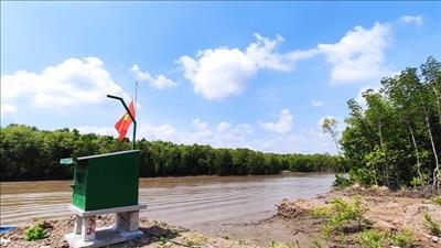 Lắp đặt 15 trạm quan trắc môi trường rừng ngập mặn