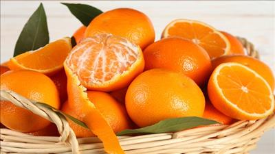 Thuốc hay chữa bệnh từ cây quýt