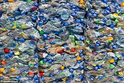 Bộ Tài chính: Dự thảo, phí cấp giấy phép môi trường đối với các dự án