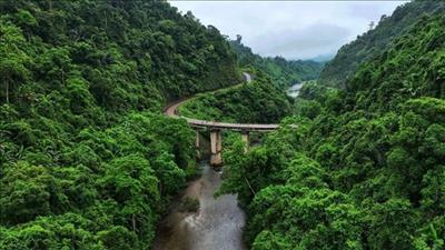 Quảng Bình thúc đẩy phát triển thị trường carbon