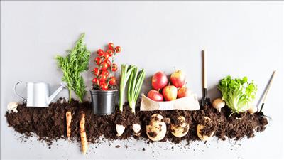 Cần chuyển đổi cách thức sản xuất lương thực để giảm lượng khí thải nhà kính