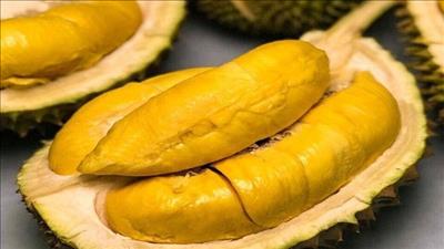 Quảng bá thương hiệu sầu riêng Việt ở Australia