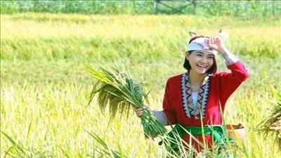 Nghiên cứu mô hình sinh kế bền vững cho các dân tộc thiểu số