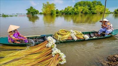 Nâng cao khả năng chống chịu và phát triển sinh thái thích ứng với biến đổi khí hậu