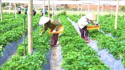 Sơn La hỗ trợ doanh nghiệp phục hồi nhanh và phát triển bền vững