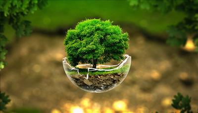 Trở lực để sống xanh