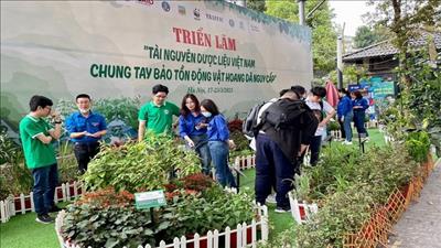 Phối hợp bảo vệ tài nguyên dược liệu Việt Nam