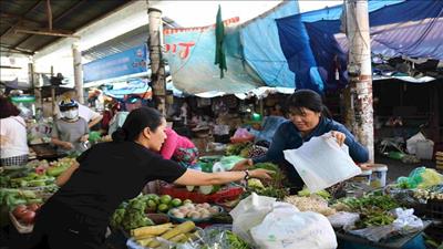 Triển khai mô hình sử dụng túi nilon dễ phân hủy tại Bình Định