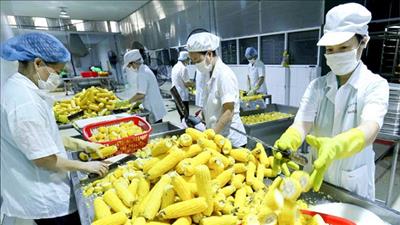 Nhiều điểm mới trong Chiến lược phát triển nông nghiệp, nông thôn bền vững