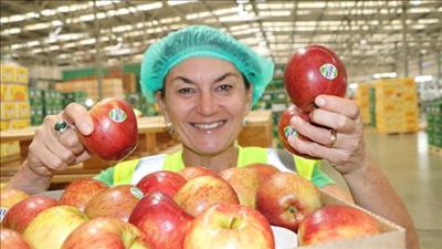 New Zealand - Việt Nam hợp tác phát triển nông nghiệp bền vững