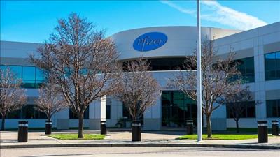 Pfizer cam kết cung cấp đủ vaccine cho Việt Nam trong năm nay