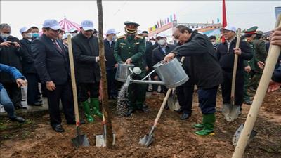 Hà Nội hưởng ứng Tết trồng cây xuân Nhâm Dần