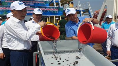 Hợp tác thả giống tái tạo nguồn lợi thủy sản khu vực ven biển vịnh Bắc Bộ