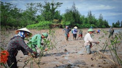 Thanh Hóa điều chỉnh tiến độ dự án hiện đại hóa ngành lâm nghiệp, tăng tính chống chịu vùng ven biển