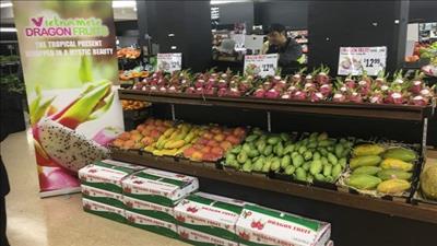 Thanh long Việt chiếm vị thế cao trong thị trường tiêu thụ Australia