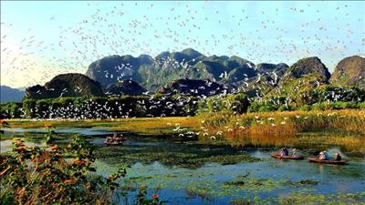Bản tin môi trường số 1/2022
