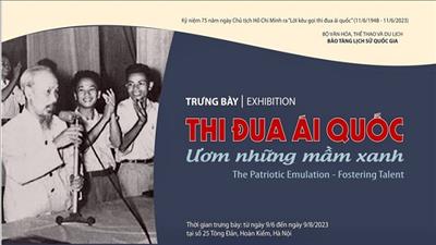 Trưng bày chuyên đề 