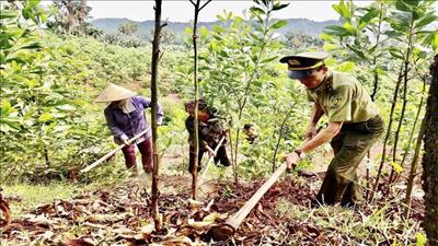 Mở rộng nguồn thu từ dịch vụ môi trường rừng