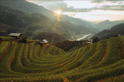 Thu trên dốc núi ở Hà Giang