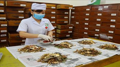 Quản lý chặt chất lượng dược liệu, thuốc cổ truyền