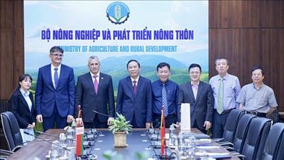 Mở rộng xuất khẩu sản phẩm nông sản sang thị trường Belarus