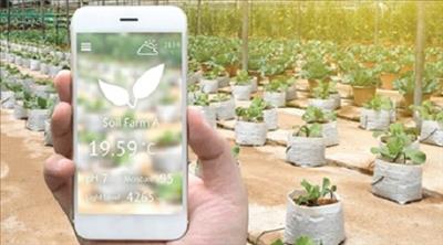 FMAN giúp kết nối bán được sản phẩm nông nghiệp ra thị trường