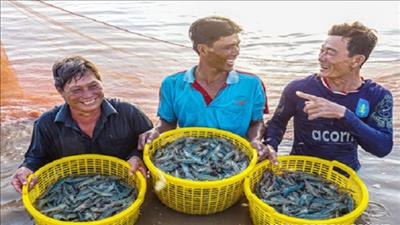 Cà Mau tổ chức sự kiện nâng tầm tôm Việt, phát triển sản phẩm OCOP