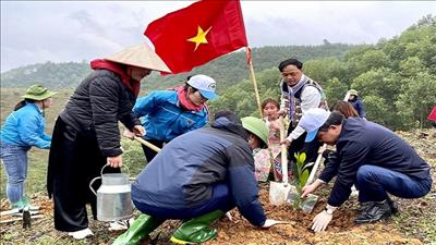 Nhiều địa phương hưởng ứng Tết trồng cây 2023