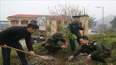 Trồng 1 tỷ cây xanh từ nay đến năm 2025