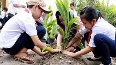 Tiếp tục triển khai chương trình “Trường học xanh” ở TPHCM