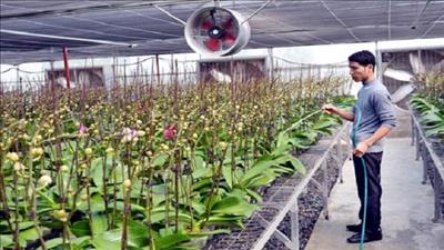 Ứng dụng công nghệ cao trong phát triển nông nghiệp Thủ đô