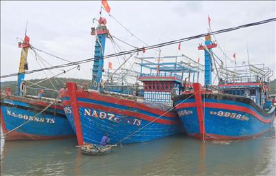 Nghệ An: Từ 0 giờ ngày 10/10 cấm tàu, thuyền ra khơi 